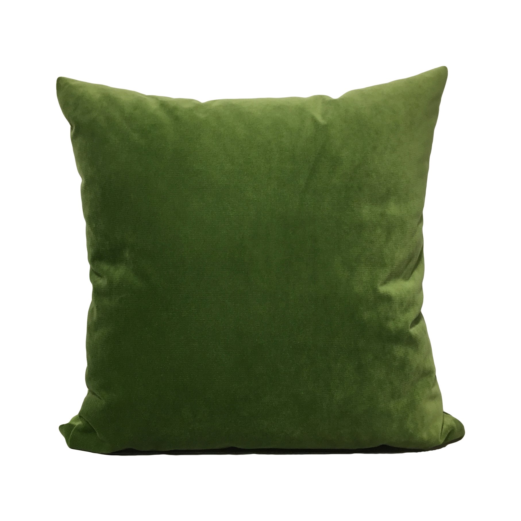 Luscious Velvet Loden Throw Pillow 20x20