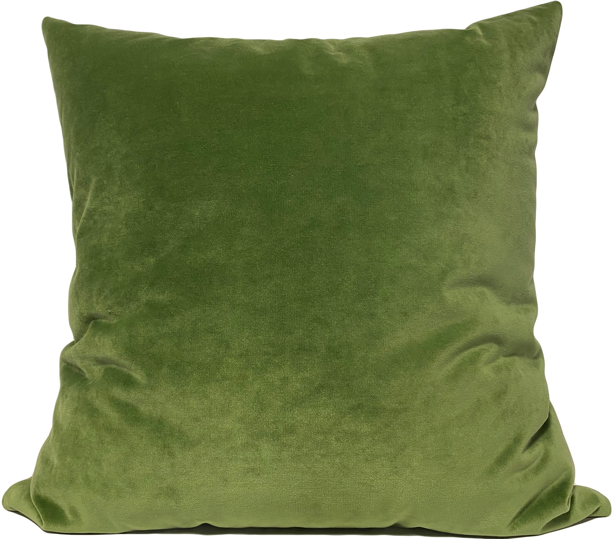 Luscious Velvet Loden Euro Pillow 25x25