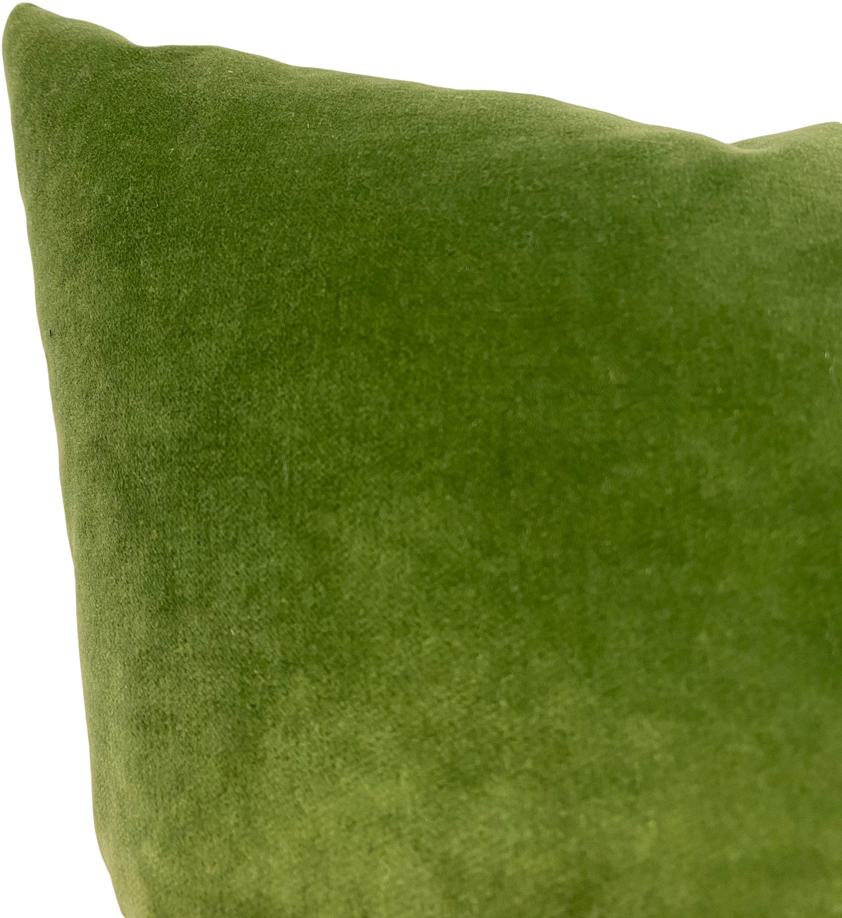 Luscious Velvet Loden Euro Pillow 25x25