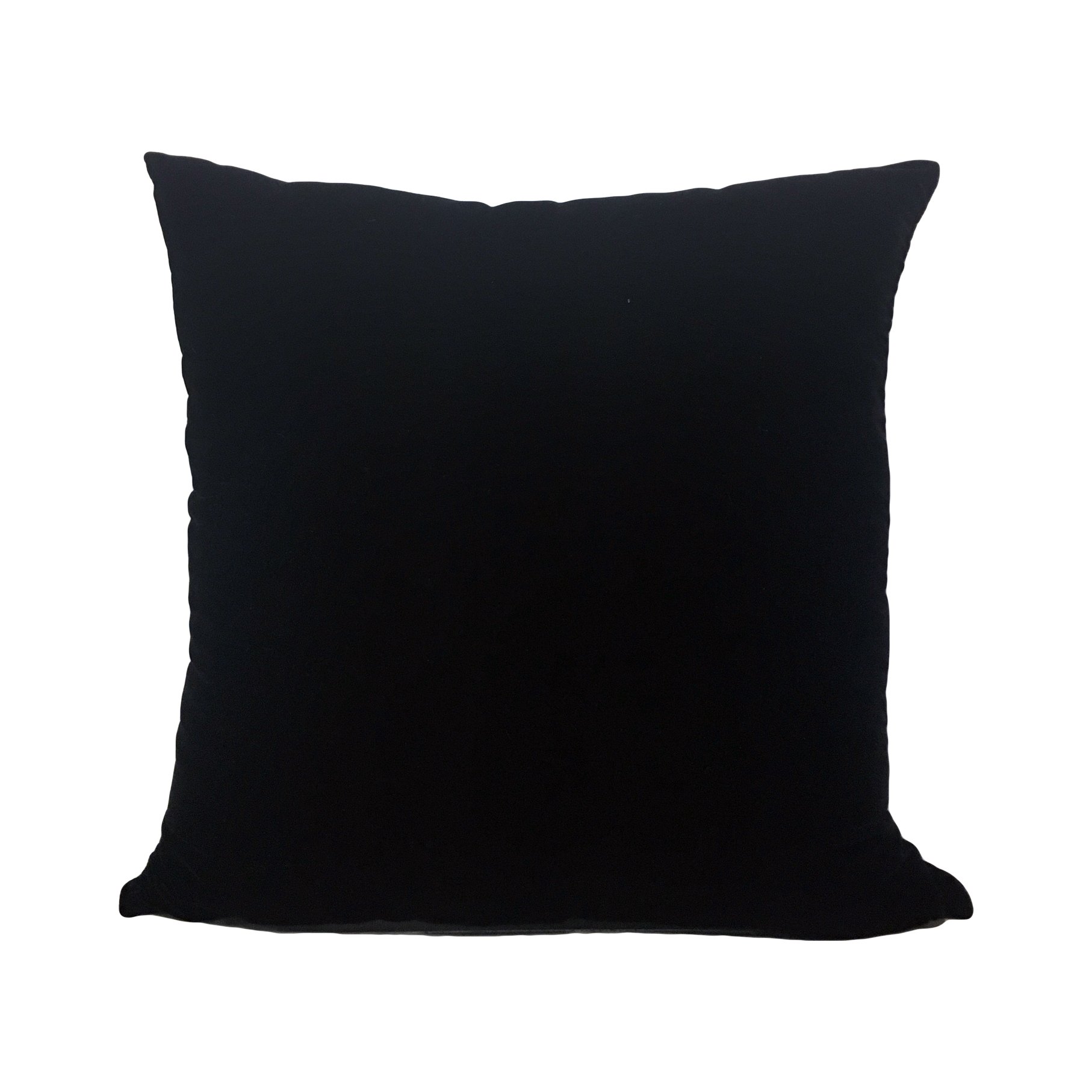 Lux Velvet Black Throw Pillow 20x20